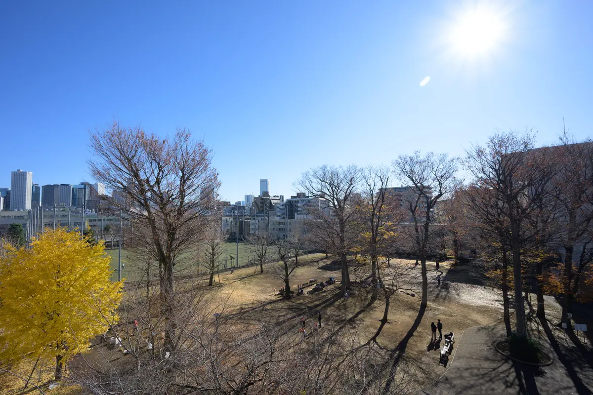 401 Rooftop Suite - Rooftop Balcony