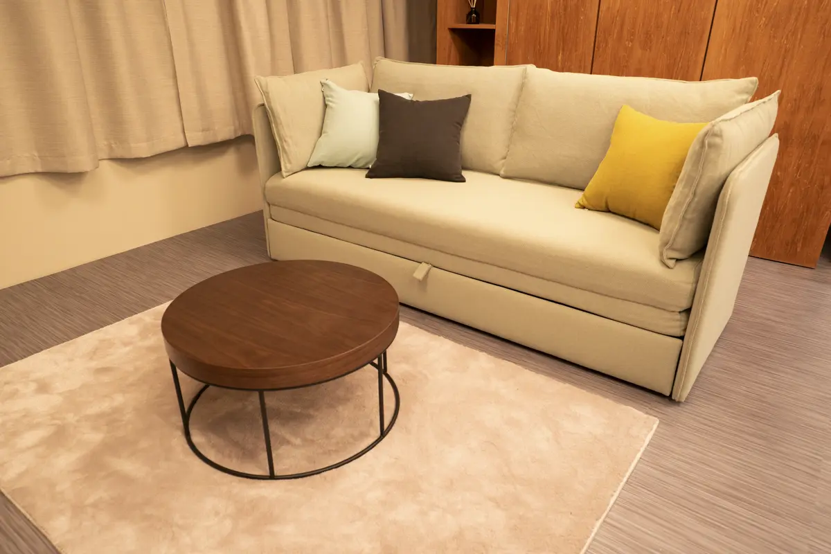 201 Park View Suite - Living Room