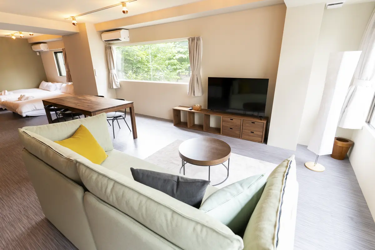 201 Park View Suite - Living Room