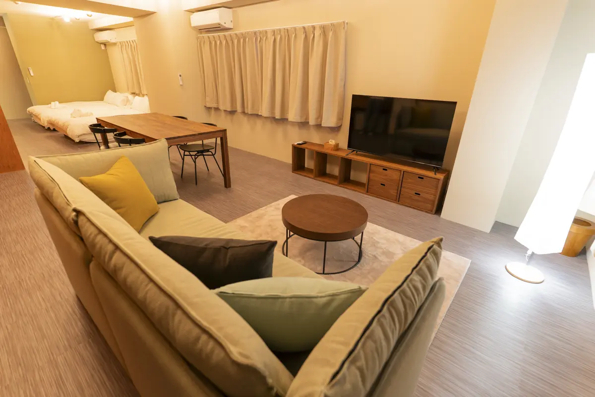 201 Park View Suite - Living Room